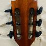 LAG tramontane t77pe acoustic Image 4