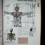 Strength training book Image 3