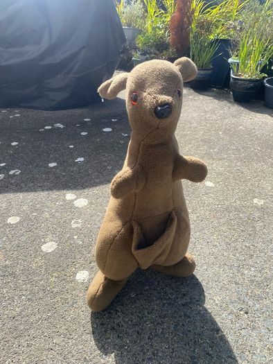 Large Kangaroo Teddy