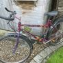 Bike Image 4