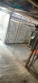 dog pen