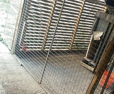 dog pen