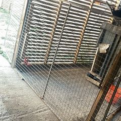 dog pen