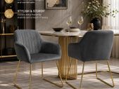 Velvet Dining Chairs Set of 2 Gold Legs Upholstered Kitchen Chairs