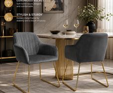 Velvet Dining Chairs Set of 2 Gold Legs Upholstered Kitchen Chairs