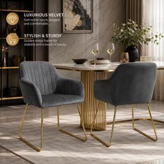 Velvet Dining Chairs Set of 2 Gold Legs Upholstered Kitchen Chairs