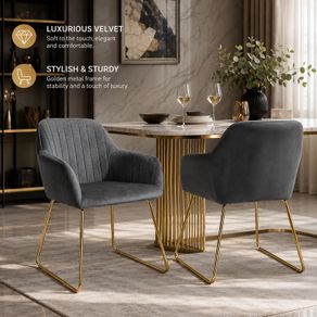 Velvet Dining Chairs Set of 2 Gold Legs Upholstered Kitchen Chairs