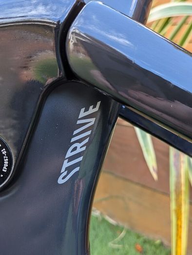 Canyon Strive CFR SIZE L