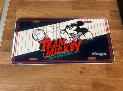 Mickey mouse license plate