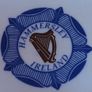 Hammersley Irish Pottery Image 2