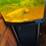 80ltr Boyu Tank and Stand Image 2