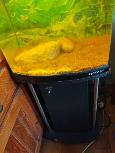 80ltr Boyu Tank and Stand