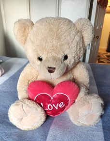 Teddy Bear