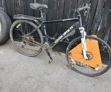Boardman choice of 2
