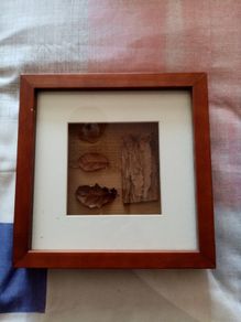 Pair of pictures