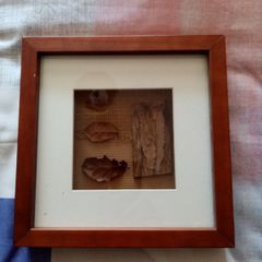 Pair of pictures