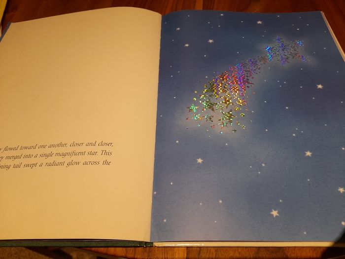 Christmas book- The Christmas Star