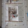 Bird Cage Image 5