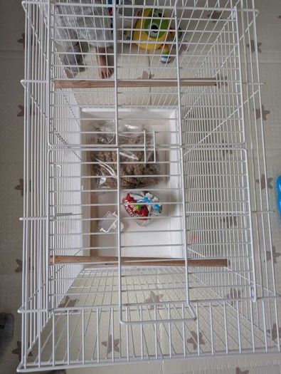 Bird Cage
