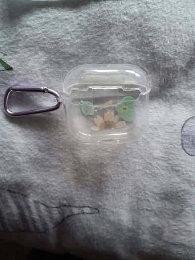Earbuds/airpods cases