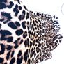 Dress Image 2