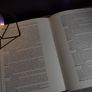 Frans Hals ! by Christopher Wright ! Hardcover ! 1977 ! by Phaidon Press Ltd ! Image 8