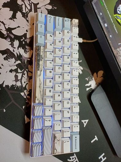 Full gaming setup