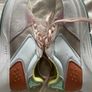 Hoff District La Jolla Sneakers - Size 39 Image 5