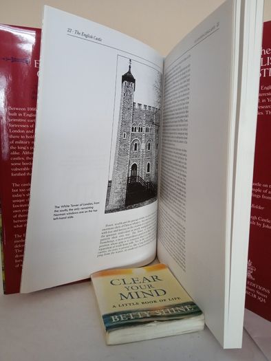 The English Castle by Francois Matarasso (GT313)