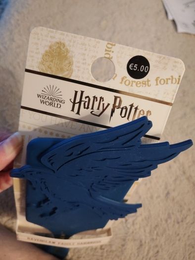 Harry Potter hairbrush