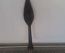 vikings prop