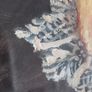 Original Oil Painting Silver Dish & Apples by Colette Mulligan Image 4
