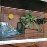 54 litre tank Image 6