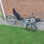 adult trike Image 2