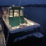 Bayliner Trophy 2052 & Trailer Image 3
