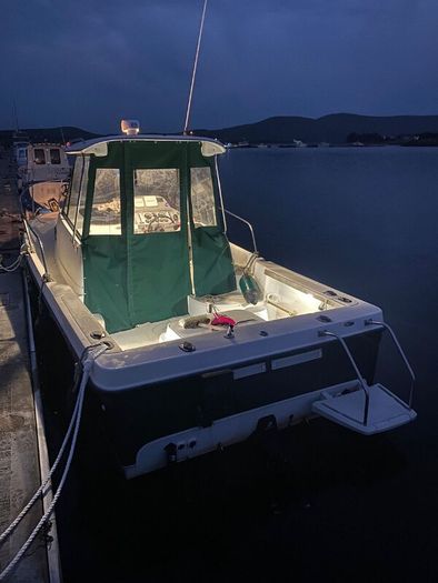Bayliner Trophy 2052 & Trailer