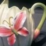 Majolica 2-Sided Butterfly Cabbage Watering Pail Image 10