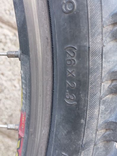 mongoose pro mountain bike