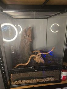 Exo Terra Vivarium