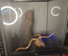Exo Terra Vivarium