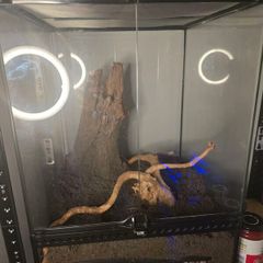Exo Terra Vivarium