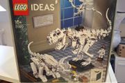 Lego Ideas 21320