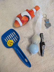 Cat toys & accessories bundle