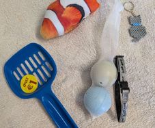 Cat toys & accessories bundle