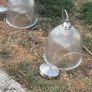 Glass Pendant Lights Image 6