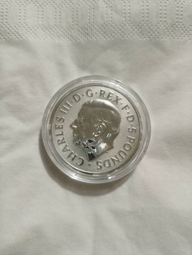 2025 Queen's Panther - Tudor Beasts 2oz Silver Coin