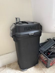 fluval 407 external filter aquarium