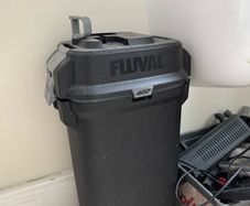 fluval 407 external filter aquarium