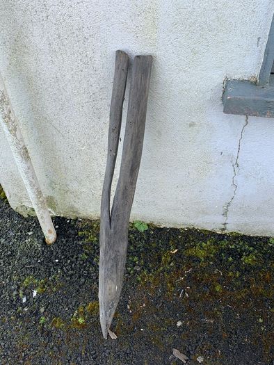 Substantial Collection of Old Bog Oak. Delivery by van can be arranged.