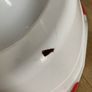 potty Image 2